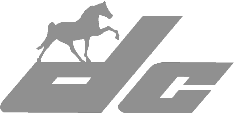 Display Craft logo mark